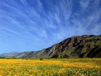 /album/galeria-de-fotos/nature1-jpg/