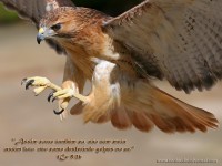 /album/galeria-de-fotos/aguiameta-jpg/