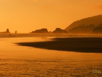 /album/galeria-de-fotos/a6e1a4cc1ec-jpg/