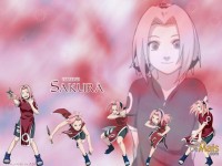 /album/galeria-de-fotos/a41da6effe9-jpg/