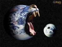 /album/galeria-de-fotos/a088623ad58-jpg/