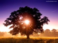 /album/galeria-de-fotos/natureza-05-01-jpg/