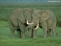 /album/galeria-de-fotos/natureza45-jpg/