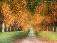/album/galeria-de-fotos/natureza31-jpg/