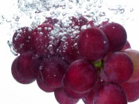 /album/galeria-de-fotos/uva-na-agua-7421-1024x768-jpg/